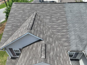 roof with two toned shingles