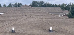 shingles on roof